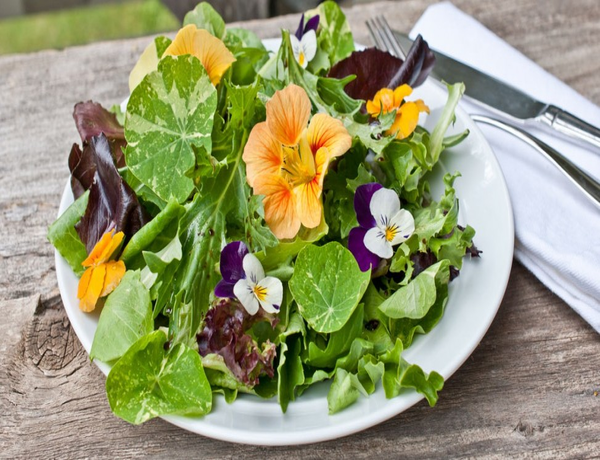 EdibleFlowerSalad2-copy-973x500